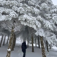 겨울왕국 지리산 바래봉