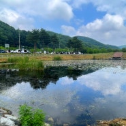 용인 가볼만한 곳 용인 차크닉 하기 좋은 길업습지