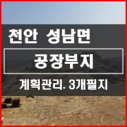 [천안공장부지] 천안시 성남면 공장부지 토지 매매