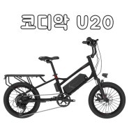 코디악U20 / 다목적 전기자전거 유아안장 가능