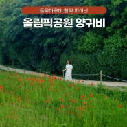 서울 꽃구경 올림픽공원 들꽃마루 주차 양귀비 개화상황