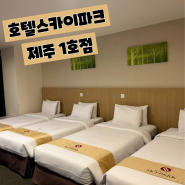 제주 공항 근처 숙소 호텔스카이파크 제주1호점