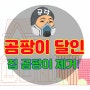 집 곰팡이 제거 재발 방지가 기본