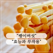 팽이버섯의 효능ㆍ부작용