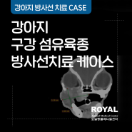 [로얄동물메디컬센터] 강아지 구강 섬유육종 방사선 치료 케이스