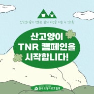 산고양이TNR캠페인을 시작합니다.