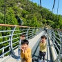 가족여행 청주랜드, 장태산자연휴양림 보문산, 스카이워크