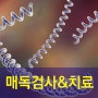 인천 성병검사 - 계속해서 늘어나는 매독의 증상과 치료법