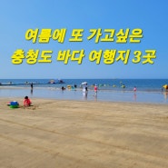 올 여름에 또 가고싶은 충청도 바다 여행지 대천 가볼만한곳 대천해수욕장,무창포해수욕장,만리포해수욕장