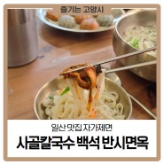 일산 맛집 자가제면 사골칼국수 백석 반시면옥