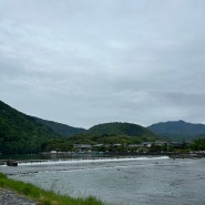 [일본] 오사카, 교토 2일차|아라시야마 당일치기, 교토 몽키파크, 텐류지, 대나무숲, 햅파이브, 킨류라멘(금룡라멘)