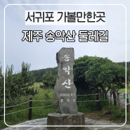 제주 서귀포 송악산 둘레길 임산부 산책 힐링 ft.제주 돌고래 스팟