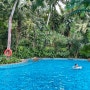 베트남 다낭 호텔, 정글속에 수영장이 있다고?!(ft. 푸라마리조트)