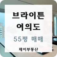 브라이튼 여의도 주상복합 아파트 55평 매매