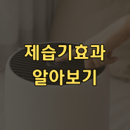 제습기효과 궁금하시다면 알려드릴게요!