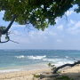[인도네시아 롬복] 모래사장 밟으며 식사 가능한 승기기 해변!