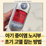 아기 중이염 초기 고열 3일만에 잡기 콧물 노시부 사용