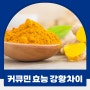 커큐민 효능 부작용 강황 커큐민 차이 섭취방법