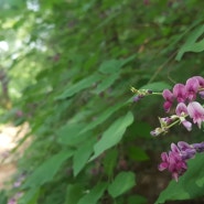 [길음역] 북악산 산사길