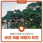 보은 여름 여행지 추천! 청량미 가득한 코스 BEST4