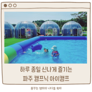 파주당일캠핑 서울근교 신상 아이캠프 놀거리 가득해요! (물놀이 + 실내놀이터 + 탈것 한가득 + 에어바운스)