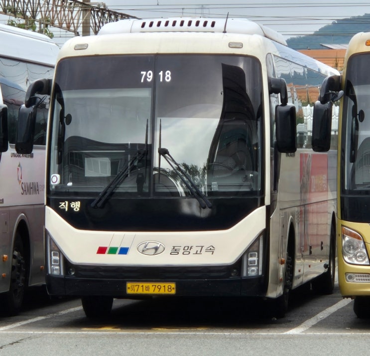동양고속 7918 2019 뉴프리미엄 유니버스 노블 : 네이버 블로그