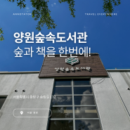 아이와 함께 숲과 책을 한번에! 서울 중랑캠핑숲에 자리한 양원숲속도서관