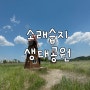 인천 가볼만한곳 소래습지생태공원 자전거 대여 주차팁