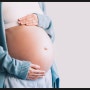 303프로젝트, 저출산 극복을 위한 논쟁