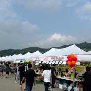 양평밀축제 지평면 한국드론항공 기록