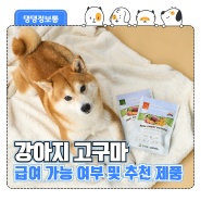 [블로그 주인장 추천] 강아지 고구마 간식 괜찮을까? 추천 제품 알아보기