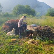 죽순 삶기