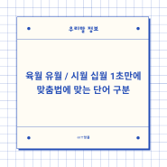 육월 유월 / 시월 십월 1초 만에 맞춤법에 맞는 단어 구분하기