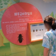 양평 곤충박물관 뱃지만들기까지