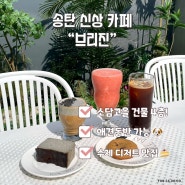 송탄역 카페 "브리진" 수제 바스크치즈케이크가 맛있는 애견 동반 가능 신상카페