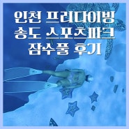 인천 프리다이빙 송도 스포츠파크 잠수풀 이용 후기