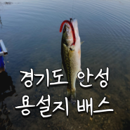 경기도 안성 용설 저수지 배스 낚시 후기
