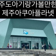 제주도 아기랑 가볼만한곳 , 제주 아쿠아플라넷