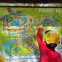 [파타야일상] 라마야나워터파크 파타야여행 아이와함께 가볼만한 곳