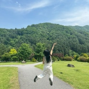 가평 가볼만한곳 아침고요수목원 유명한 이유 있네