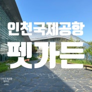 인천공항 제1여객터미널 펫가든 위치 및 이용 후기(강아지 산책로)