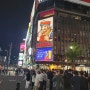 이것저것 기념 6월에 홋카이도 4박 5일 4일차 - 삿포로 니조시장, 다누키코지 상점가, 요사코이 소란 축제
