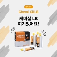 [반짝특가] Chemi-Sil LB 케미실 LB