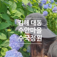 부산근교 김해 가볼만한곳 소등껄 수국정원 김해 수안마을 다녀온 후기 6.11
