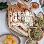 동해 대게 맛집 [혜성식당] , 묵호항 횟집 대게도 먹고 회도먹고