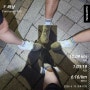 [다이어트]24.6.10일차_56.4kg/다이어트 도시락 & 창릉천 5km 러닝