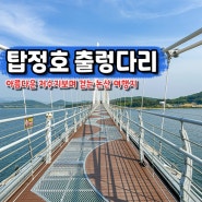 논산 탑정호 출렁다리 음악분수 수변생태공원 입장료 주차장