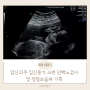 임신22주 임신중기 임산부 소변 단백뇨검사 및 정밀초음파 기록