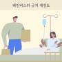 제왕절개 페인버스터 금지 재검토 소식과 생각