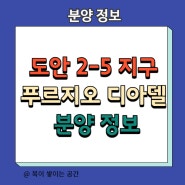 도안 2-5지구 푸르지오 디아델 분양정보와 당첨되기 유리한 특별공급